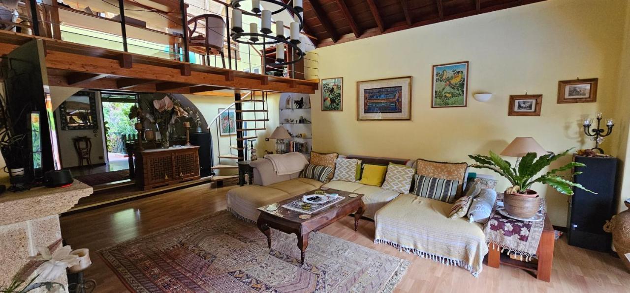 Villa La Paz 2 Puerto de la Cruz  Ngoại thất bức ảnh